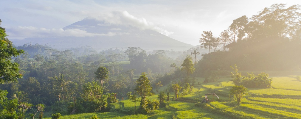 Rice fields in Bali with mountains on the background